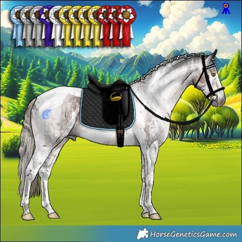 Horse Color:Gray Liver Chestnut Mushroom Sabino Tobiano Rabicano and Gray Liver Chestnut Mushroom Sabino Tobiano Rabicano