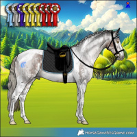 Horse Color:Gray Liver Chestnut Mushroom Sabino Tobiano Rabicano  and Gray Liver Chestnut Mushroom Sabino Tobiano Rabicano 