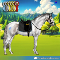 Horse Color:Gray Liver Chestnut Mushroom Sabino Tobiano Rabicano and Gray Liver Chestnut Mushroom Sabino Tobiano Rabicano