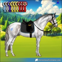 Horse Color:Gray Liver Chestnut Mushroom Sabino Tobiano Rabicano  and Gray Liver Chestnut Mushroom Sabino Tobiano Rabicano 