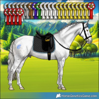 Horse Color:Gray Liver Chestnut Mushroom Sabino Tobiano Rabicano  and Gray Liver Chestnut Mushroom Sabino Tobiano Rabicano 
