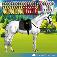 Horse Color:Gray Liver Chestnut Mushroom Sabino Tobiano Rabicano  and Gray Liver Chestnut Mushroom Sabino Tobiano Rabicano 