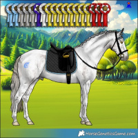 Horse Color:Gray Liver Chestnut Mushroom Sabino Tobiano Rabicano  and Gray Liver Chestnut Mushroom Sabino Tobiano Rabicano 