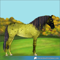Horse Color:ERROR: UNKNOWN ANOMALY