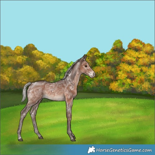 Horse Color:White Spotted Silver Brown Ice Rabicano 