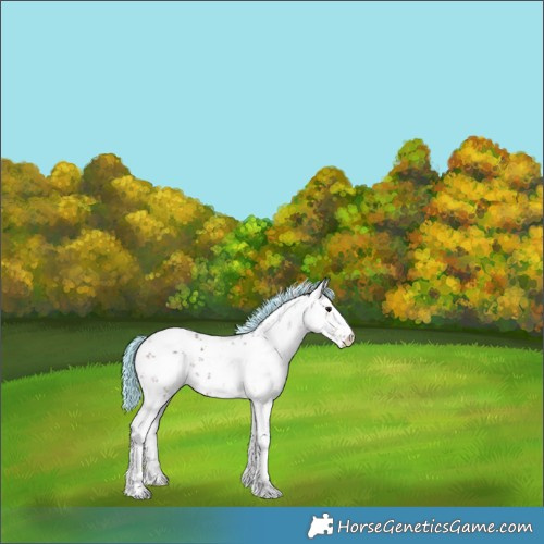Horse Color:Painted White Spotted Silver Brown Ice Sabino 