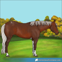 Horse Color:Silver Brown Tobiano 