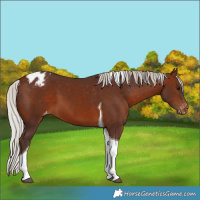 Horse Color:Silver Brown Tobiano Varnish 