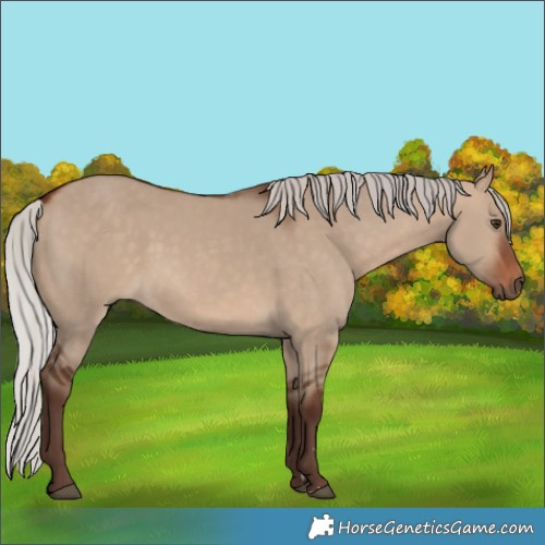 Horse Color:Silver Brown Dun