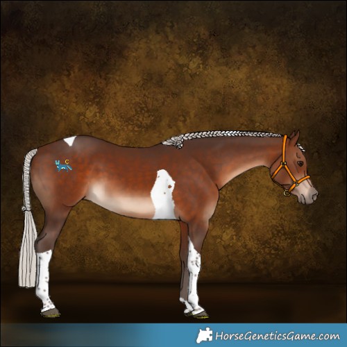 Horse Color:Silver Brown Tobiano 