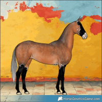 Horse Color:Bay Splash 