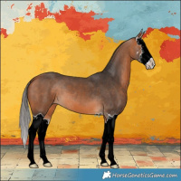 Horse Color:Bay Splash 