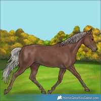 Horse Color:Silver Black 