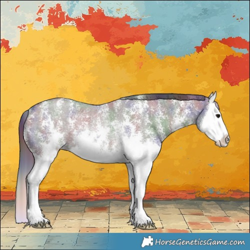 Horse Color:Nacre Smoky Grullo Sabino Splash Rabicano 