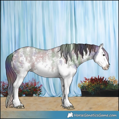 Horse Color:Nacre Smoky Grullo Sabino Splash Rabicano 