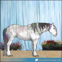 Horse Color:Nacre Smoky Grullo Sabino Splash Rabicano 