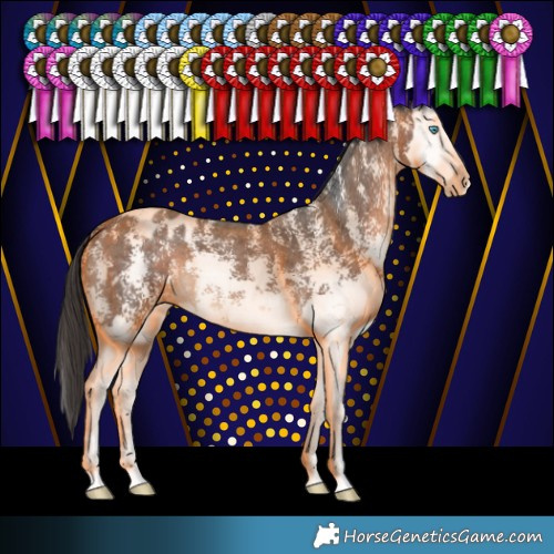 Horse Color:Brown Sabino Splash Blanket 
