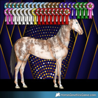 Horse Color:Brown Sabino Splash Blanket 