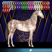 Horse Color:Brown Sabino Splash Appaloosa