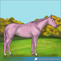 Horse Color:Watercolor Brown Dun Rabicano