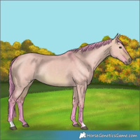 Horse Color:Watercolor Brown Dun Rabicano 