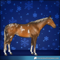 Horse Color:White Spotted Chocolate Palomino Mushroom