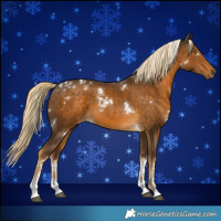Horse Color:White Spotted Chocolate Palomino Mushroom