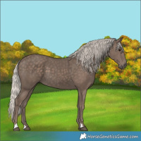 Horse Color:Silver Black