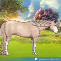 Horse Color:White Spotted Gold Champagne Dun 