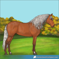 Horse Color:Silver Bay