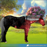 Horse Color:ERROR: UNKNOWN ANOMALY