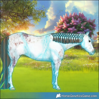 Horse Color:Painted Thunderstruck Buckskin Ice Frame 