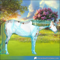 Horse Color:Painted Thunderstruck Buckskin Ice Frame 