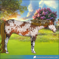 Horse Color:Painted Brown Ice 