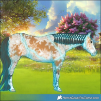 Horse Color:Thunderstruck Buckskin Ice 