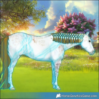Horse Color:Painted Thunderstruck Buckskin Ice Frame 