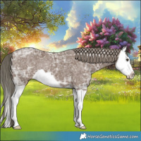 Horse Color:Liver Red Dun Ice Mushroom Splash