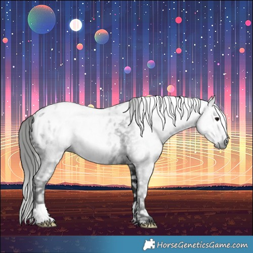 Horse Color:Gray Black Blanket 