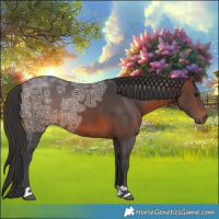 Horse Color:Brown Ice Rabicano 