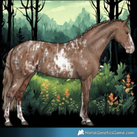 Horse Color:Chestnut Blanket and Liver Red Dun Sabino Rabicano