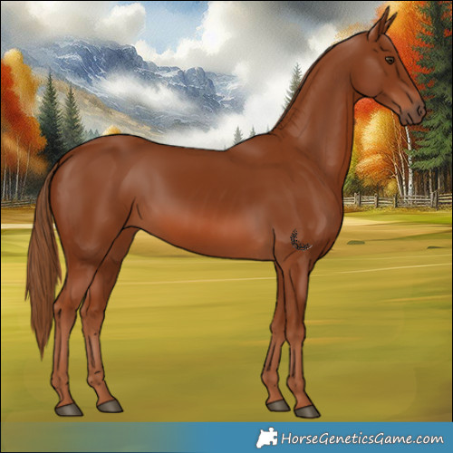 Horse Color:Chestnut 
