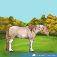 Horse Color:Red Roan Pearl Tobiano Frame 