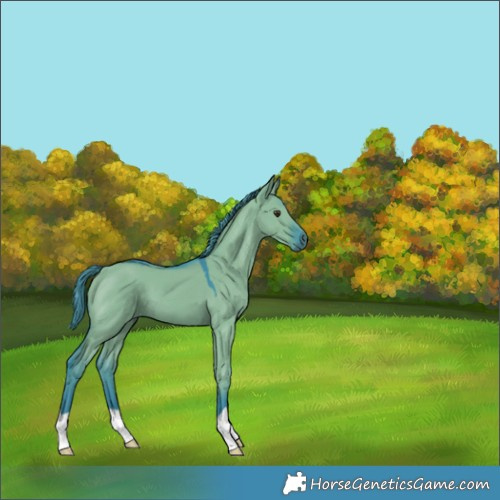 Horse Color:Watercolor Liver Red Dun 