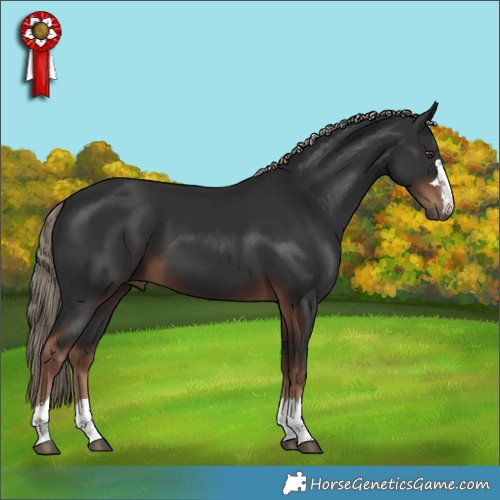 Horse Color:Liver Chestnut 