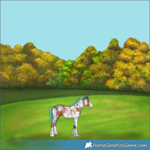 Horse Color:Painted White Spotted Silver Brown Ice Sabino Rabicano 