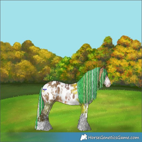 Horse Color:Painted White Spotted Silver Brown Sabino Blanket Rabicano 