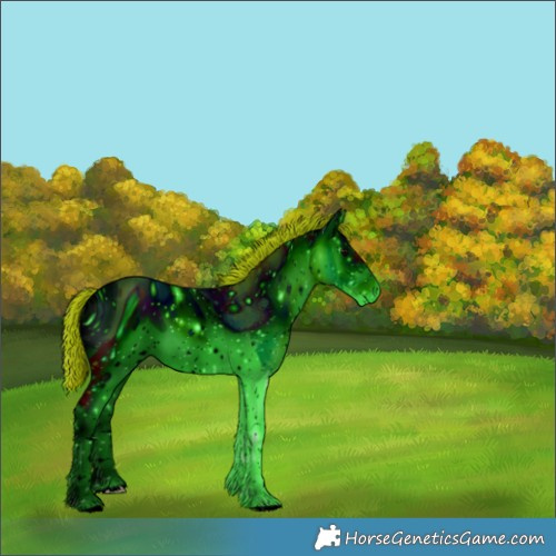 Horse Color:ERROR: UNKNOWN ANOMALY