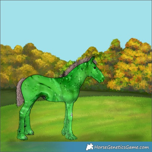Horse Color:ERROR: UNKNOWN ANOMALY