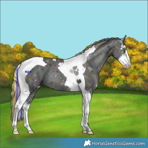 Horse Color:Painted Midnight Perlino Onyx Sabino Tobiano 