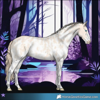 Horse Color:Perlino Sabino  and Perlino Sabino Near Leopard 